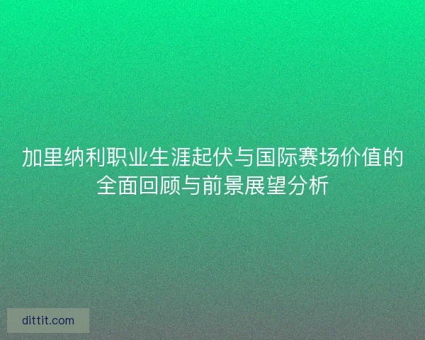 加里纳利职业生涯起伏与国际赛场价值的全面回顾与前景展望分析