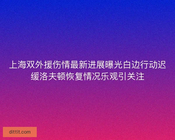 上海双外援伤情最新进展曝光白边行动迟缓洛夫顿恢复情况乐观引关注